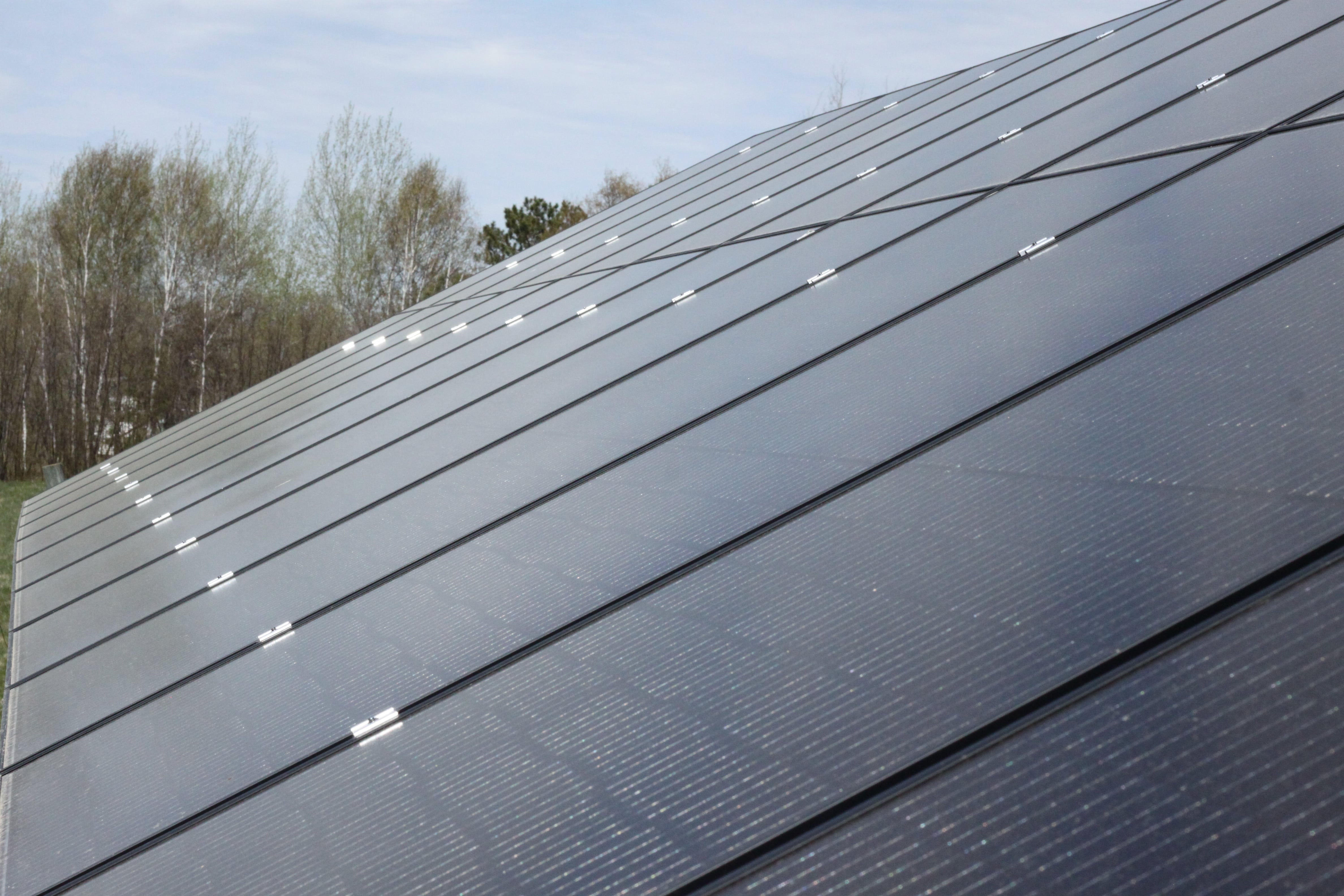 Wolf Track Energy Image